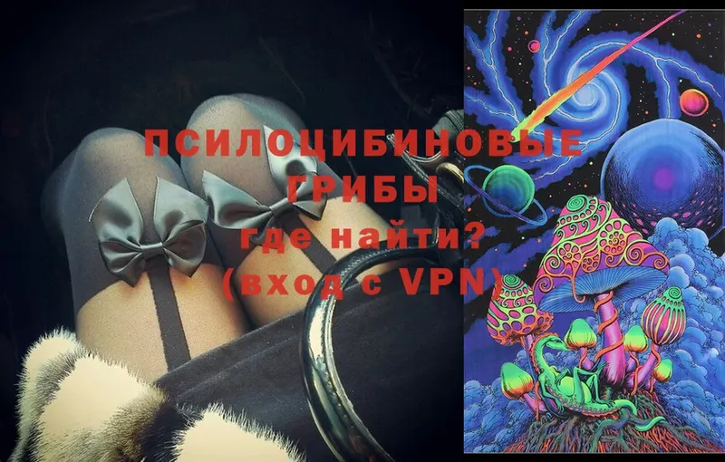 Псилоцибиновые грибы Psilocybe  Макушино 